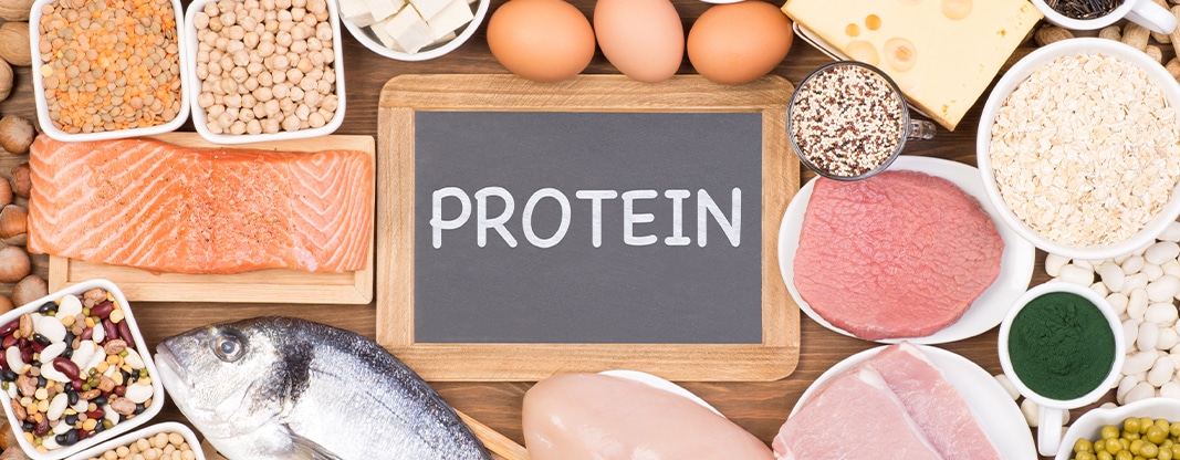 Protein – It’s Place in Your Diet